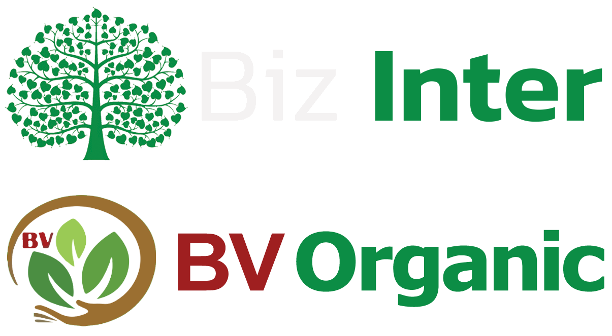 biz intergo