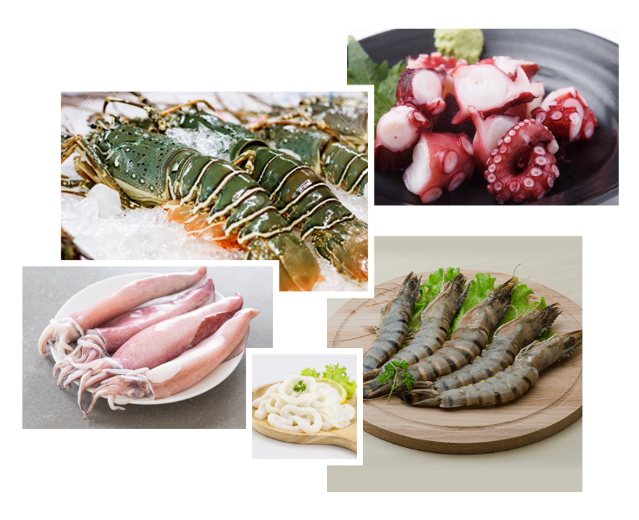 Seafood