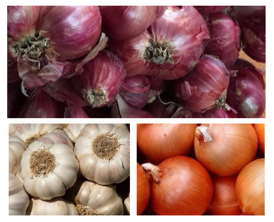 Garlic / Shallot / Onion (Dried)